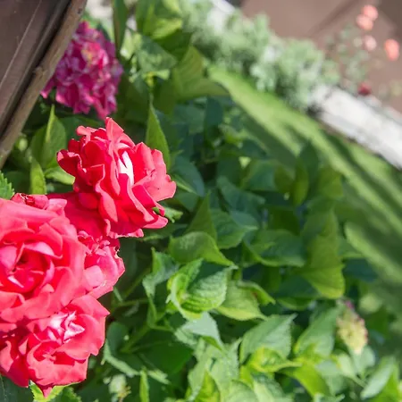 Apartament Pipini Luxury Limenas (Thasos)